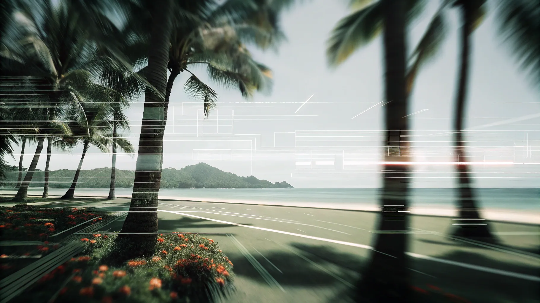 Digital Reach, Palm trees line a coastal road, blurred motion suggesting fast driving. Ocean and beach in background.