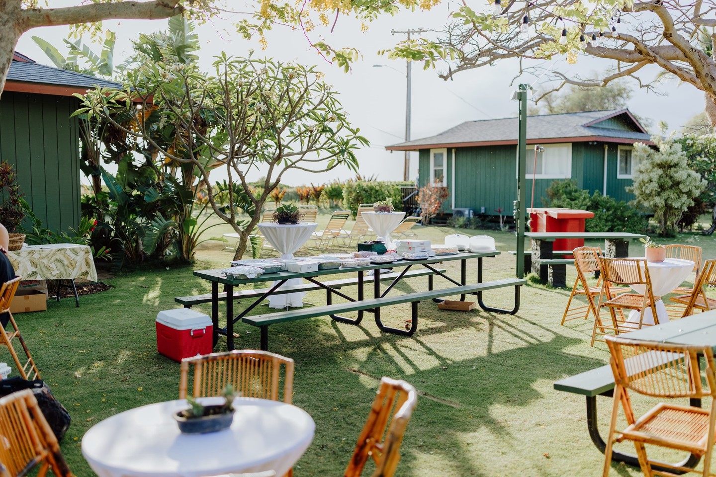Digital Reach, Outdoor event space with picnic tables and tropical greenery.