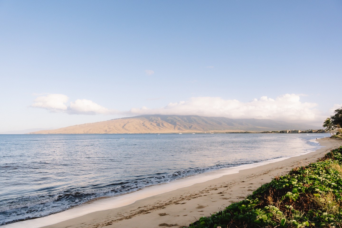Digital Reach, Maui beach view with Haleakala volcano and light clouds. Serene Hawaiian landscape.