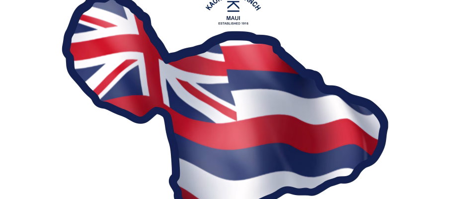 Oskie Rice Event Center logo, Maui SEO case study