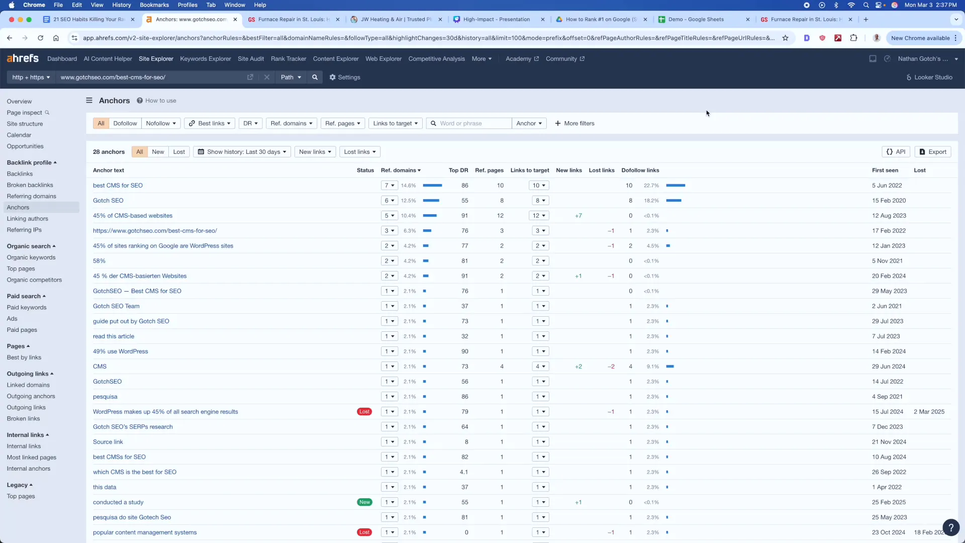 Anchor text profile example