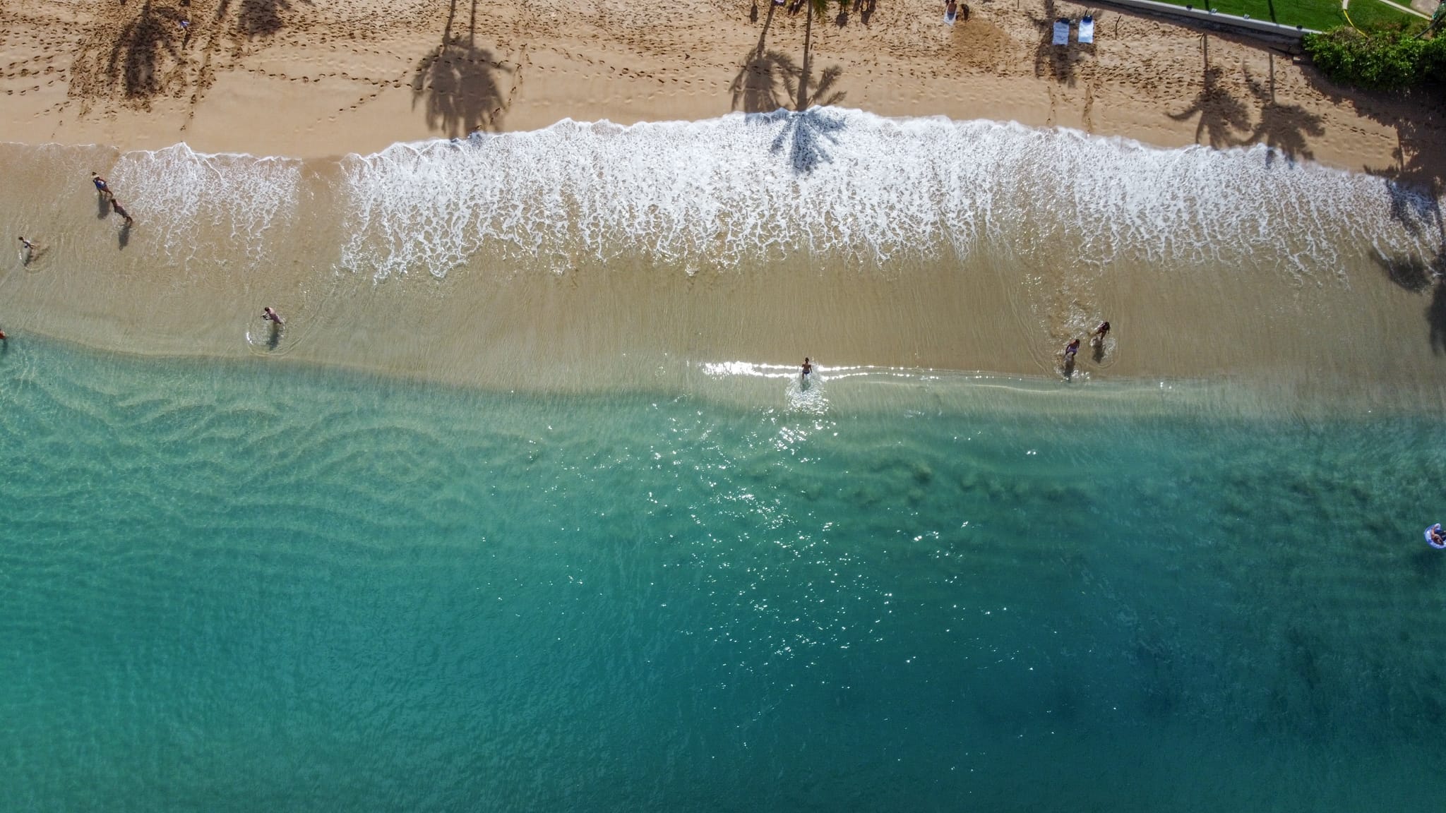 DJI_0917 Copy • Digital Reach Digital Reach, Aerial view of a Hawaiian beach with turquoise water and palm tree shadows, perfect for Hawaii social media marketing.