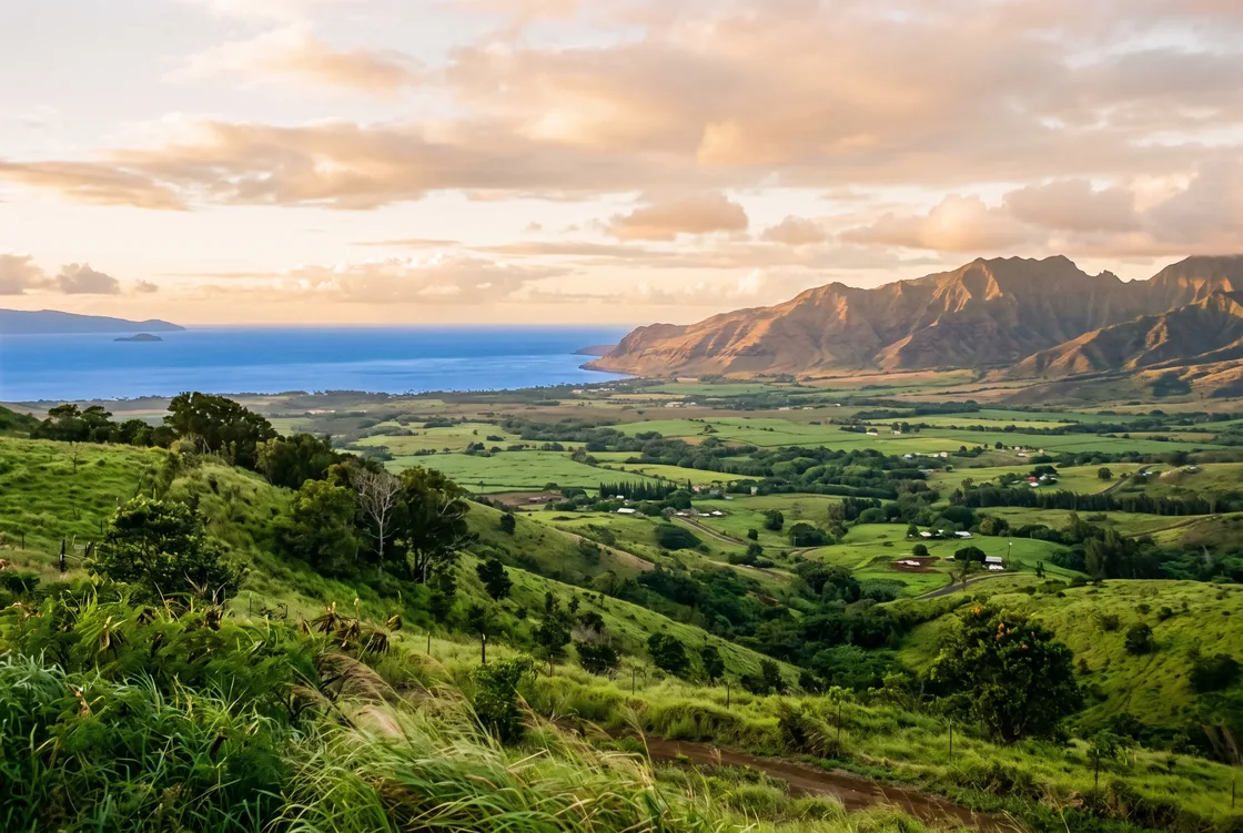 Golden-hour view from green upcountry Maui slopes across the central valley toward the West Maui Mountains, with rooftops among trees and the ocean beyond.