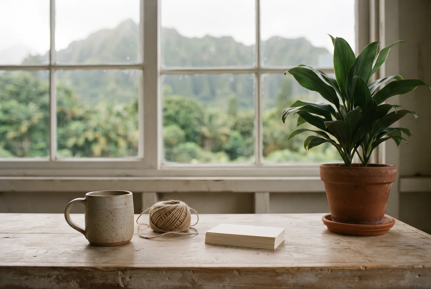 A worn pale-wood front counter in soft morning light with a plain unglazed ceramic mug, a coiled steel measuring tape, a short stack of blank index cards and a potted ti plant, a window behind opening onto a green ridgeline, no people.
